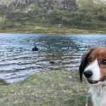 Obersee Tauchen und Zelten